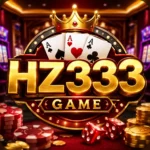 HZ333 GAME